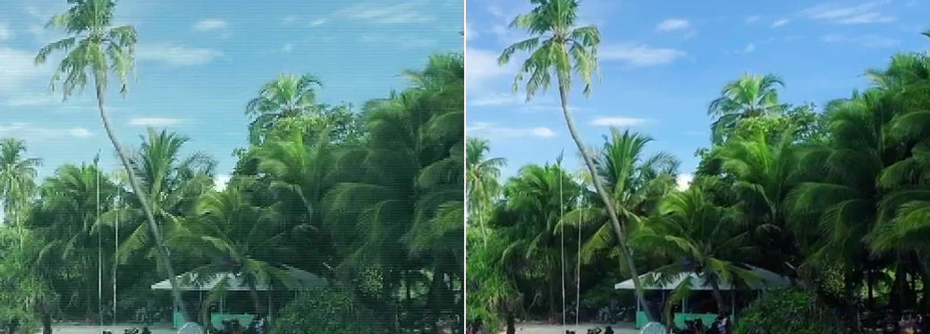 Before and after detail crop of palm trees and sky in beach camcorder footage